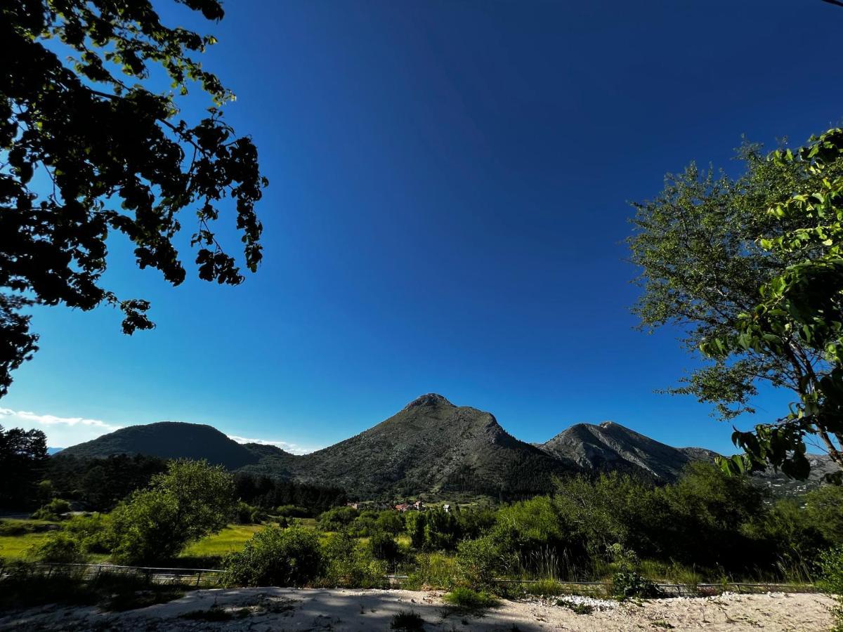 فيلا Njegusiفي Glamping Lovcen المظهر الخارجي الصورة